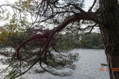 Cromvoirt
