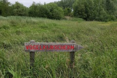 IMG_20230602_092022