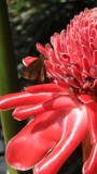 SAM_0326